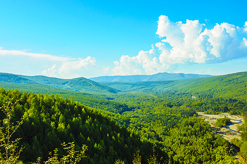 Холдоми лето