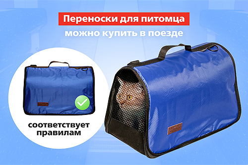 Переноска для животных в поезде