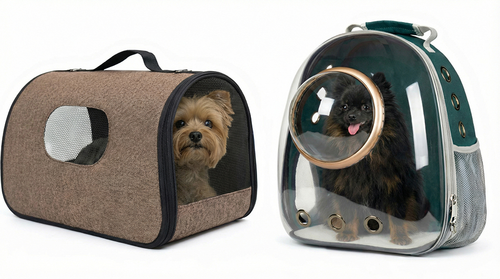 2026-02-04 09.37.11 плашка.jpg